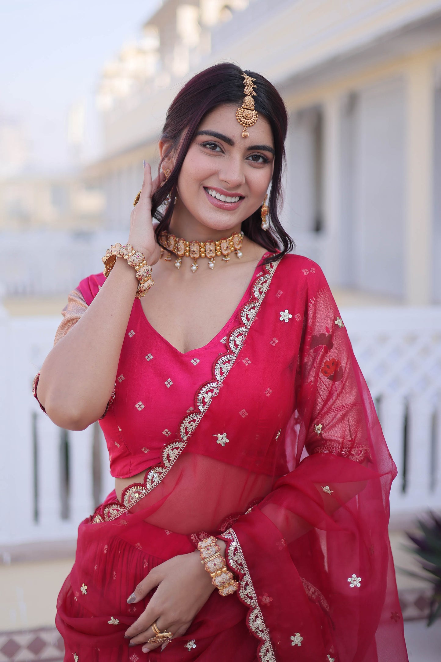 Vrindaa Rani Pink Paithani-Border Embroidered Lehenga Set