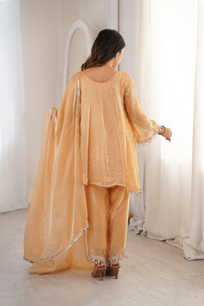 Sonal Chiku Mirror-Work Tissue Silk Suit Set