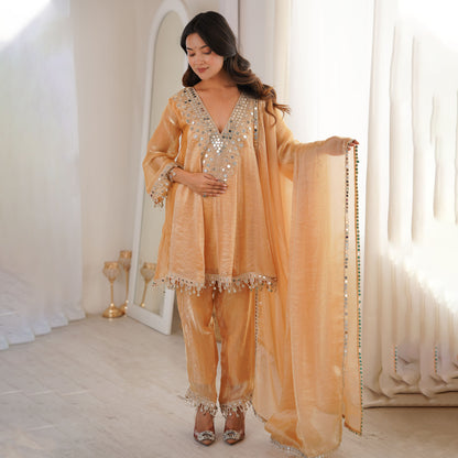Sonal Chiku Mirror-Work Tissue Silk Suit Set
