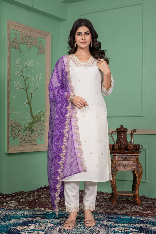 Apexa White Chic Evening Dress